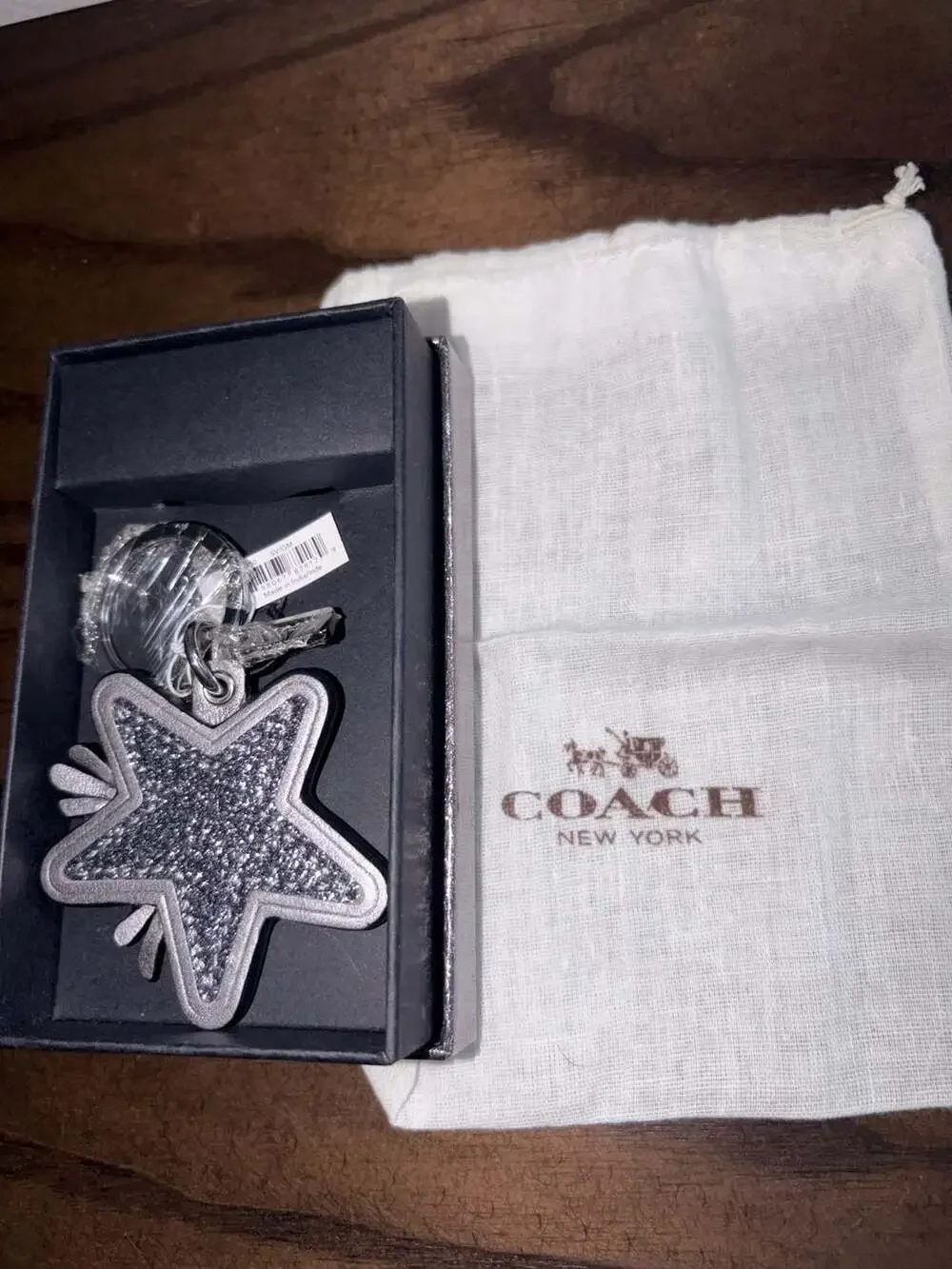 Coach Star Canyon Glitter Keychain F64350 Silver/Gunmetal